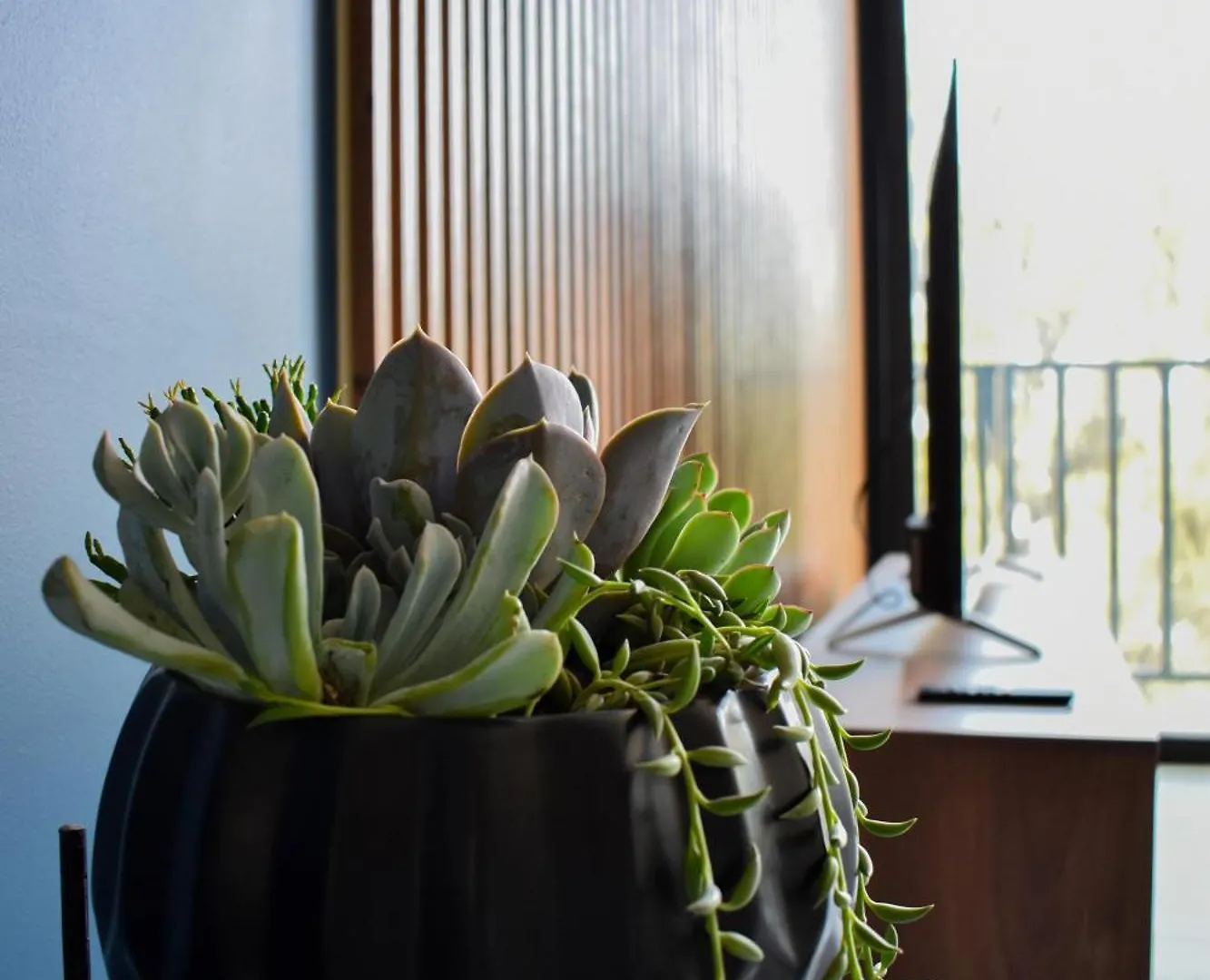 Appartement Centrico Departamento Con Rooftop Y Vistas En Zapopan Guadalajara